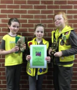 1st-pembury-brownies-growing-up-wild